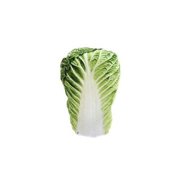 Imagen de LECHUGA MATATABI 11,5X8CM