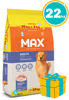 Imagen de MAX Alimento Performance Perro Adulto 22 kg