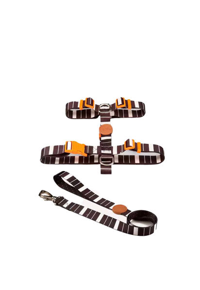 Imagen de ARNES H + CORREA TOH TALLE XS ECLIPSE