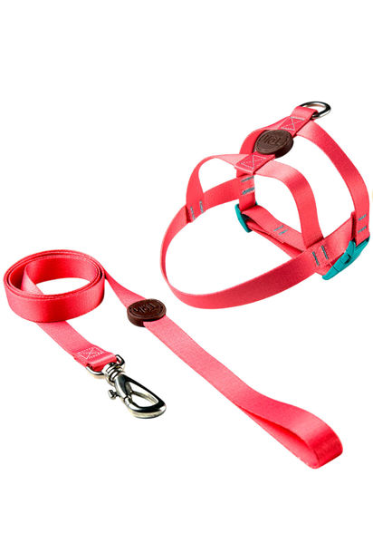 Imagen de ARNES BASICO + CORREA TOH TALLE S ROSA