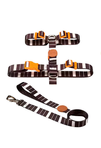 Imagen de ARNES H + CORREA TOH TALLE S ECLIPSE