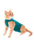 Imagen de ROPA PROTECTORA PARA GATOS TALLE 2 VERDE