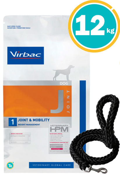Imagen de HPM VIRBAC DOG JOINT & MOBILITY 12KG + correa trenzada