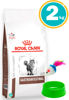 Imagen de ROYAL CANIN Gato Gastrointestinal 2kg + Ratón + Comedero