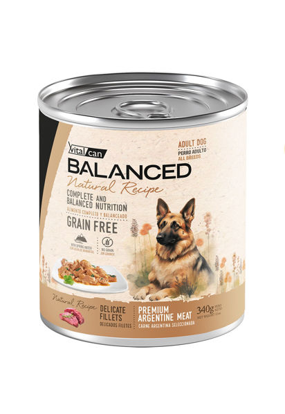 Imagen de Salsa NATURAL RECIPE Filetes de Carne perro adulto - 340G