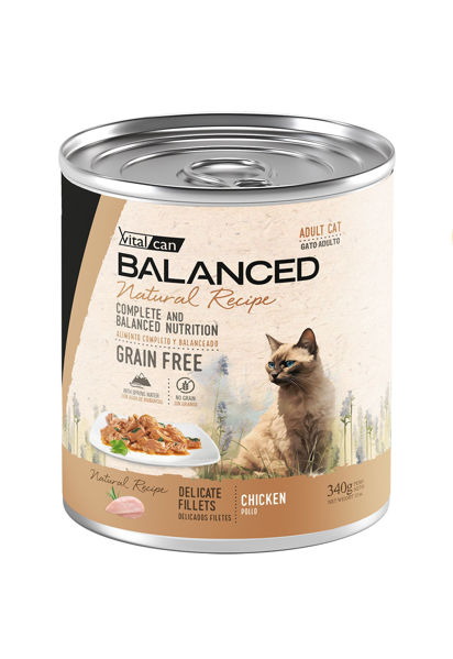 Imagen de Salsa NATURAL RECIPE Filetes de pollo gato adulto - 340g