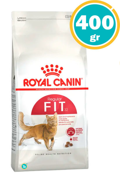 Imagen de ROYAL CANIN Gato In & Outdoor Fit 32 400gs