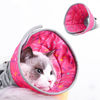 Imagen de Collar Isabelino gato acolchonado S