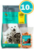Imagen de THREE DOGS Familia Original Perro Adulto Razas Pequeñas 10kg + Galletas GP