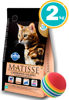 Imagen de MATISSE Gato Castrado Salmón 2 kg + Pelota