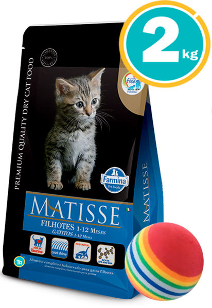 Imagen de MATISSE Gatitos 2kg + Pelota