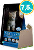 Imagen de MATISSE Gatitos 7,5kg + Rascador