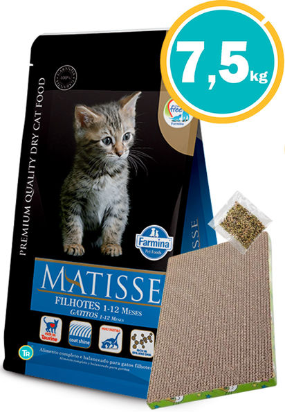 Imagen de MATISSE Gatitos 7,5kg + Rascador