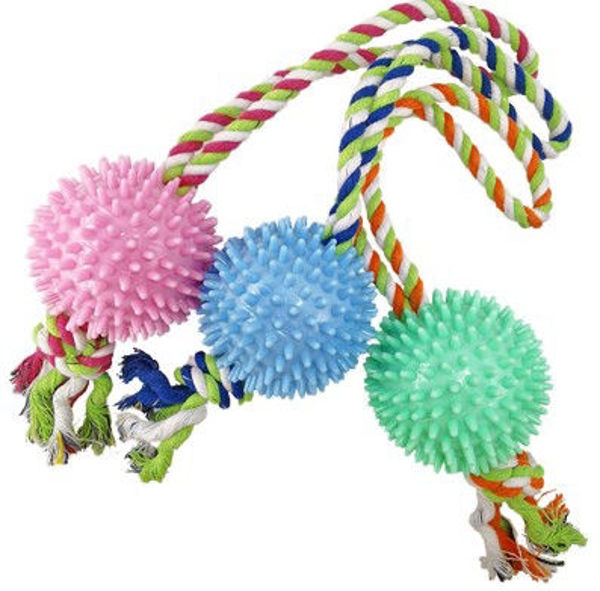 Imagen de JUGUETE PELOTA CON PINCHO Y CUERDA - TR286