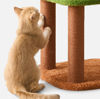 Imagen de Rascador gato estilo jungla 2 niveles