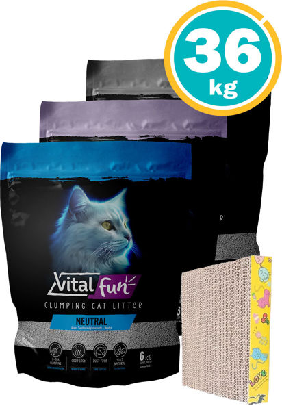 Imagen de SANITARIO AGLOMERANTE VITALFUN ARENA  24kg varios aromas + rascador mini