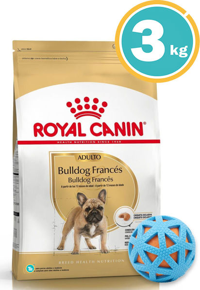Imagen de ROYAL CANIN Bull Dog Francés Adulto 3 Kg + Pelota