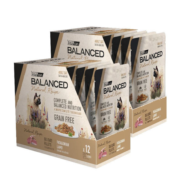 Imagen de SALSA BALANCED GATO ADULTO FILETES CORDERO 85GR KIT 24