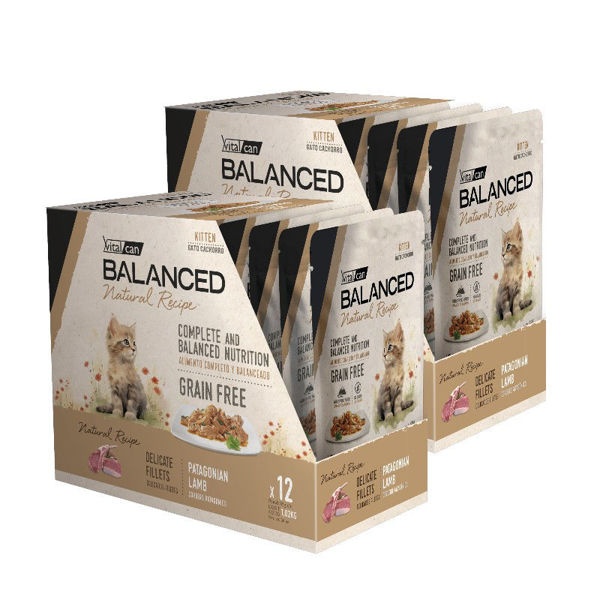 Imagen de SALSA BALANCED GATO KITTEN FILETES CORDERO 85GR KIT 24