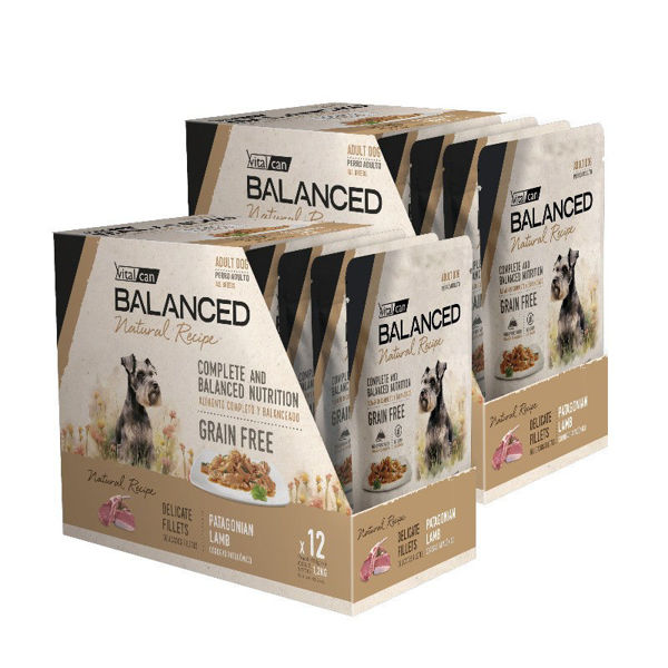 Imagen de SALSA BALANCED PERRO ADULTO FILETES CORDERO 100 GR