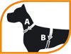 Imagen de FERPLAST ARNES SPORT DOG XS FUCSIA