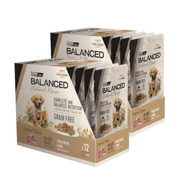 Imagen de Salsa BALANCED Perro Cachorro CORDERO 100gr - 24 unidades