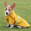 Imagen de Capa PILOT Impermeable Perros 3 a 5kg