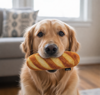 Imagen de JUGUETE BAGUETTE 20CM CON SONIDO - PEPITO