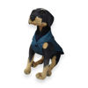 Imagen de Chaleco Impermeable para Perro Cuadrillé Azul 43cm - Ferribiella