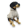 Imagen de Buzo para Perros con Capucha Gris 38cm - Pepito