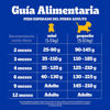 Imagen de Pedigree Cachorro Razas Pequeñas 3kg