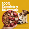 Imagen de Pedigree Cachorro Razas Pequeñas 3kg