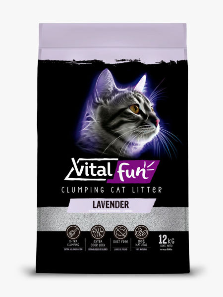 Imagen de SANITARIO AGLOM. VITALFUN LAVANDA 6KG